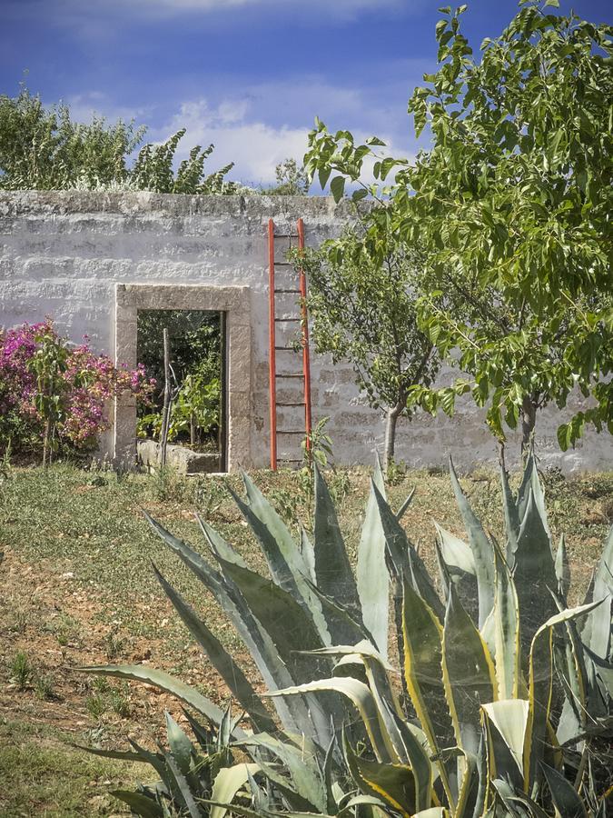 Masseria Palombara Grande 奥斯图尼 外观 照片