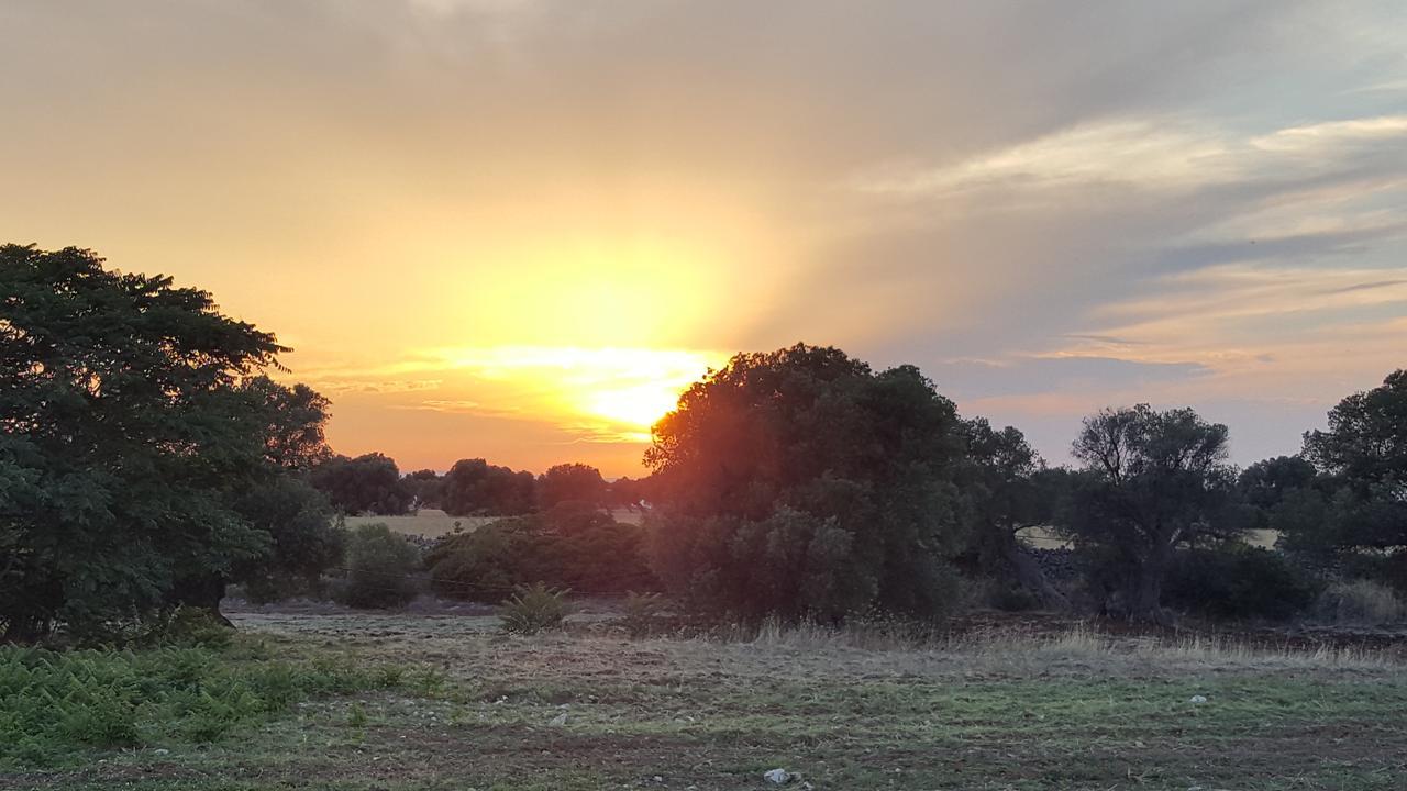 Masseria Palombara Grande 奥斯图尼 外观 照片