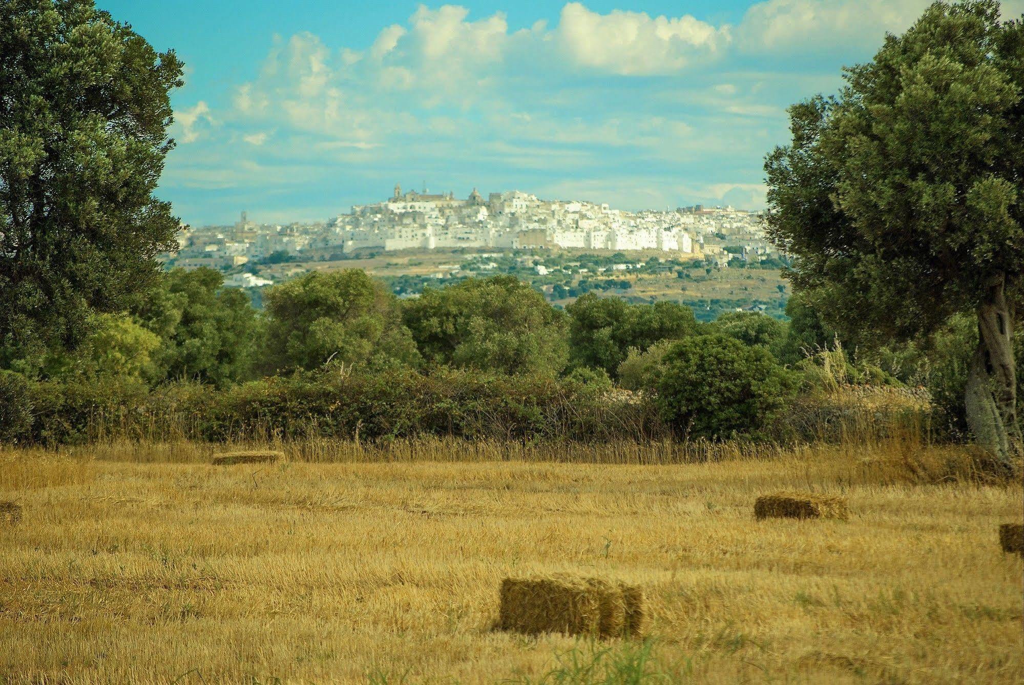 Masseria Palombara Grande 奥斯图尼 外观 照片
